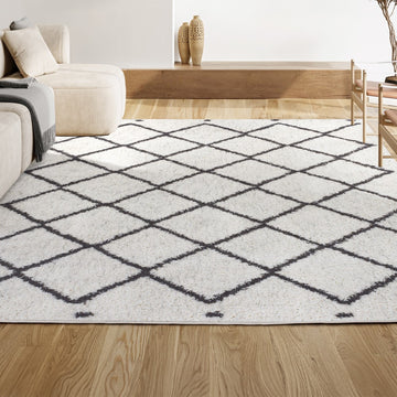 Cami Moroccan Style Diamond Shag Area Rug
